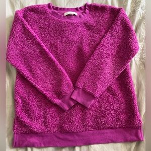 LOFT Fuzzy Sweatshirt